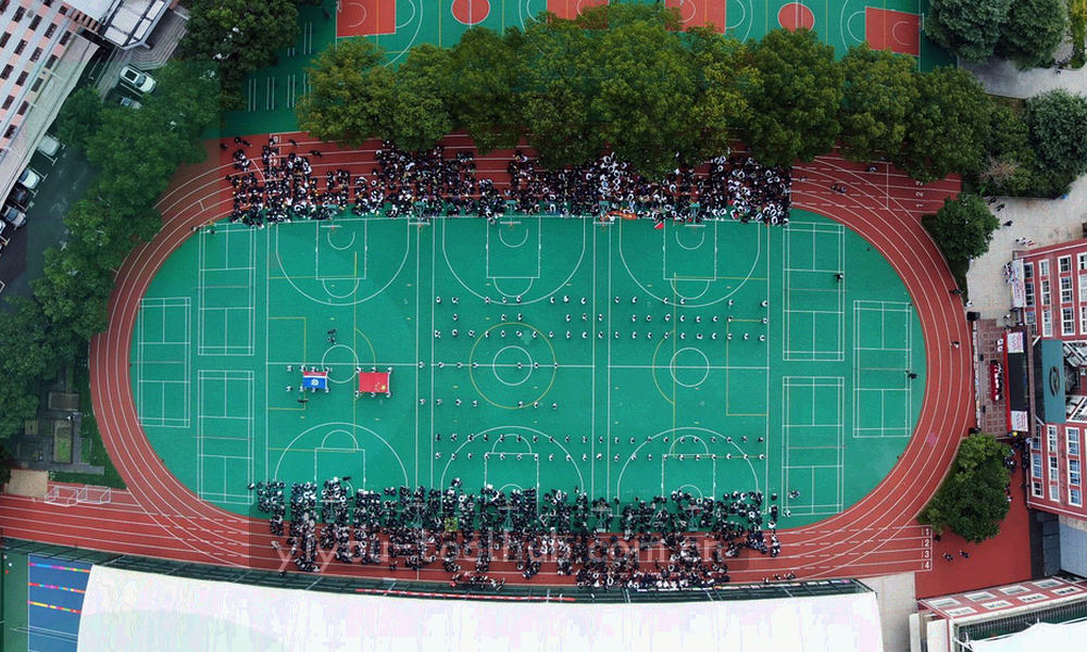 上海城市线条抽象图，河流与路网以冷青色描线交错延伸，画面中不含人物